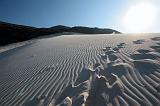 IMG_4759  Dilisha, Socotra
